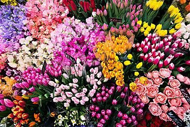 《幻兽帕鲁》万圣节更新将于10月23日上线